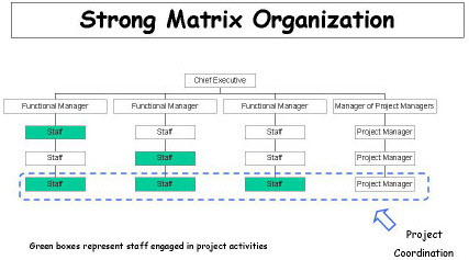 balanced matrix organization